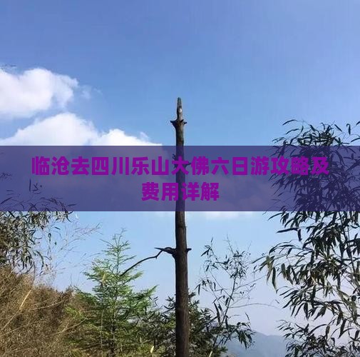 临沧去四川乐山大佛六日游攻略及费用详解