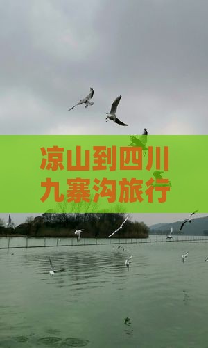 凉山到四川九寨沟旅行社多少公里及怎么走