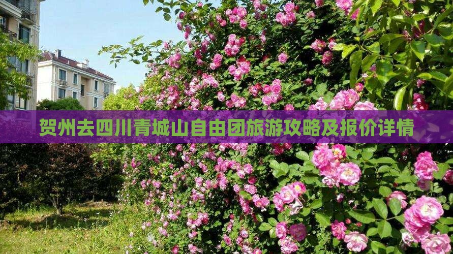贺州去四川青城山自由团旅游攻略及报价详情