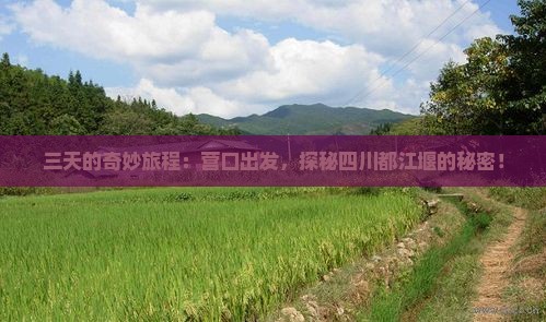 三天的奇妙旅程：营口出发，探秘四川都江堰的秘密！