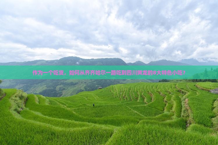 作为一个吃货，如何从齐齐哈尔一路吃到四川黄龙的8大特色小吃？