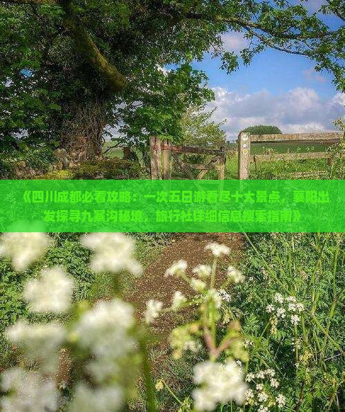 《四川成都必看攻略：一次五日游看尽十大景点，襄阳出发探寻九寨沟秘境，旅行社详细信息搜索指南》