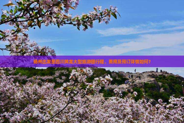扬州出发至四川黄龙大型旅游团行程、费用及预订详情如何？