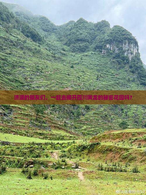 济源的朋友们，一起去揭开四川黄龙的秘密花园吗？