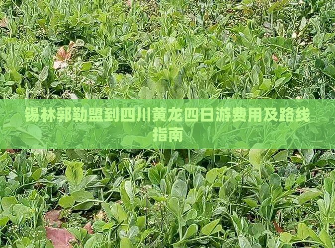 锡林郭勒盟到四川黄龙四日游费用及路线指南