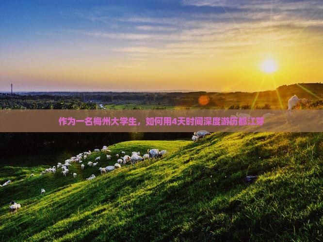 作为一名梅州大学生，如何用4天时间深度游历都江芽