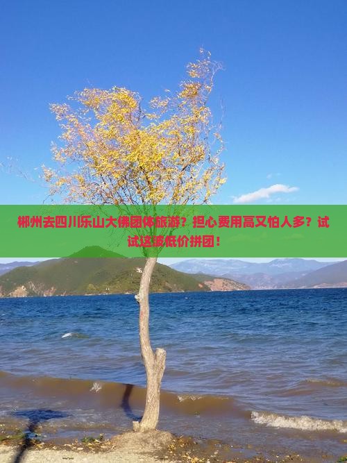 郴州去四川乐山大佛团体旅游？担心费用高又怕人多？试试这波低价拼团！