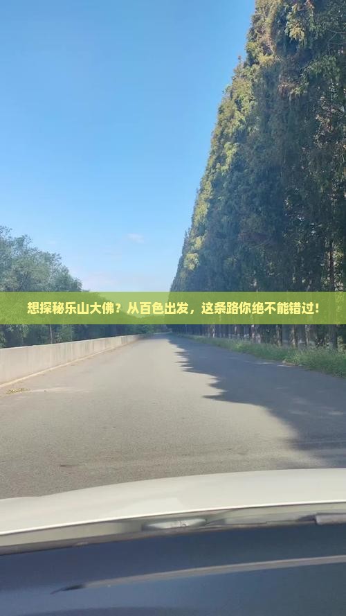 想探秘乐山大佛？从百色出发，这条路你绝不能错过！