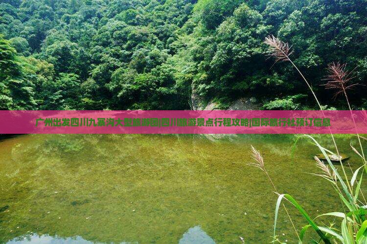 广州出发四川九寨沟大型旅游团|四川旅游景点行程攻略|国际旅行社预订信息 广州出发四川九寨沟大型旅游团|四川旅游景点行程攻略|国际旅行社预订信息