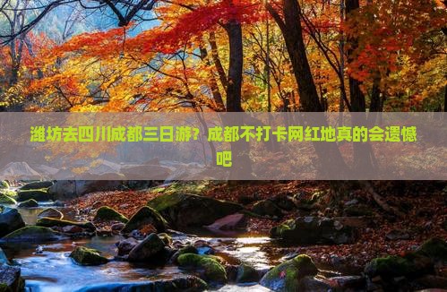 潍坊去四川成都三日游？成都不打卡网红地真的会遗憾吧