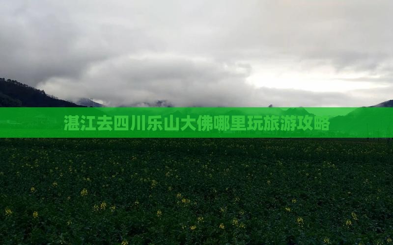 湛江去四川乐山大佛哪里玩旅游攻略