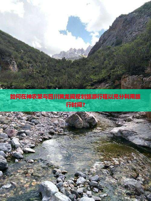 如何在神农架与四川黄龙间规划旅游行程以充分利用旅行时间？