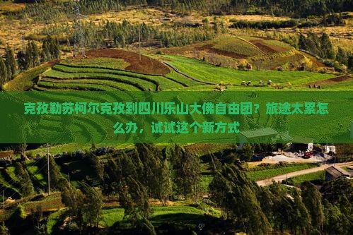 克孜勒苏柯尔克孜到四川乐山大佛自由团？旅途太累怎么办，试试这个新方式