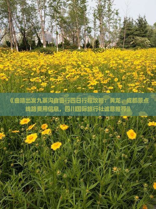 《曲靖出发九寨沟自由行四日行程攻略：黄龙、成都景点线路费用信息，四川国际旅行社诚意推荐》