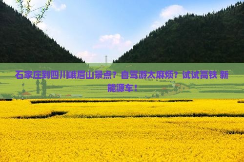 石家庄到四川峨眉山景点？自驾游太麻烦？试试高铁+新能源车！
