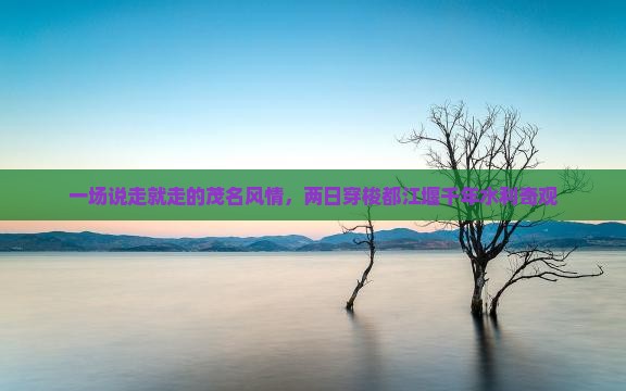 一场说走就走的茂名风情，两日穿梭都江堰千年水利奇观