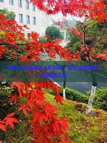 旅行小白必看！4天时间，保山出发如何畅游都江芽