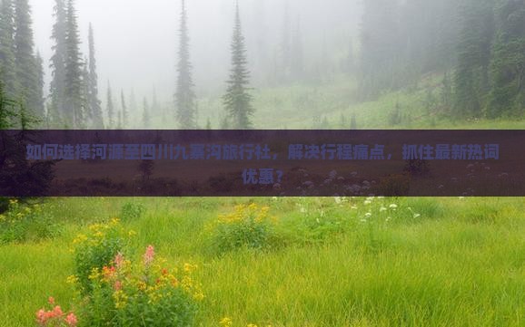 如何选择河源至四川九寨沟旅行社，解决行程痛点，抓住最新热词优惠？