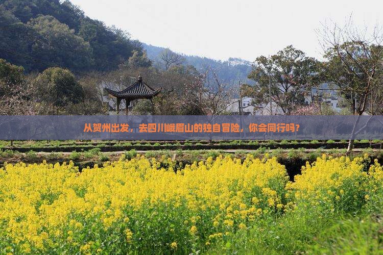 从贺州出发，去四川峨眉山的独自冒险，你会同行吗？
