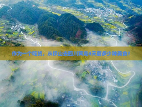 作为一个吃货，从保山去四川黄龙4天蘑多少种美食？