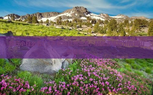 旅行小白必看！5步解锁赣州出发，轻松游遍四川青城山的秘密！