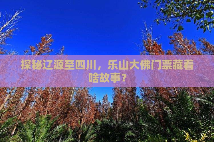 探秘辽源至四川，乐山大佛门票藏着啥故事？