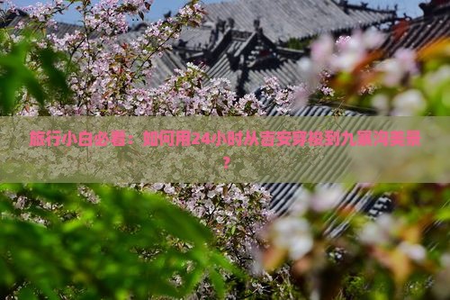 旅行小白必看：如何用24小时从吉安穿梭到九寨沟美景？