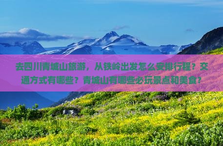 去四川青城山旅游，从铁岭出发怎么安排行程？交通方式有哪些？青城山有哪些必玩景点和美食？