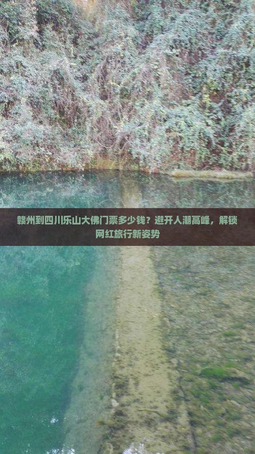 赣州到四川乐山大佛门票多少钱？避开人潮高峰，解锁网红旅行新姿势