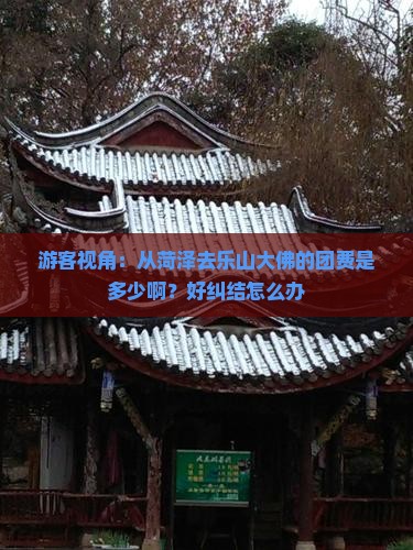 游客视角：从菏泽去乐山大佛的团费是多少啊？好纠结怎么办
