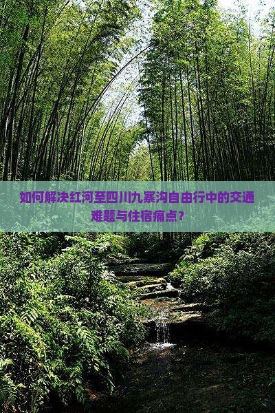 如何解决红河至四川九寨沟自由行中的交通难题与住宿痛点？