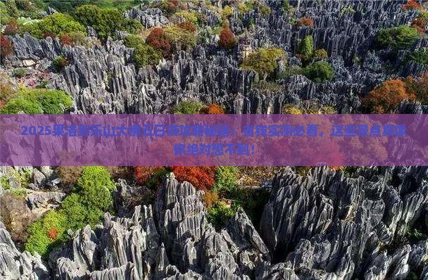 果洛到四川乐山大佛五日游