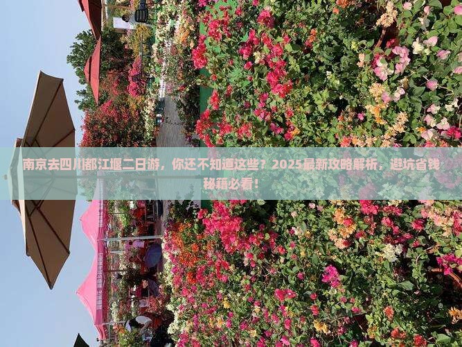 南京去四川都江堰二日游