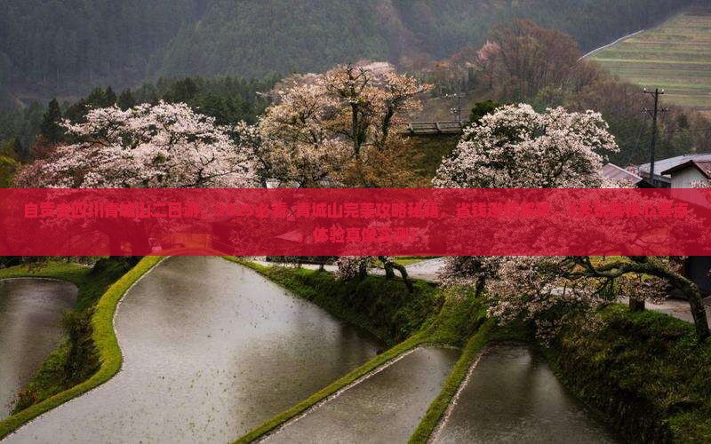 自贡去四川青城山二日游