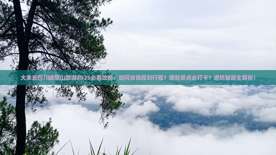 大丰去四川峨眉山旅游