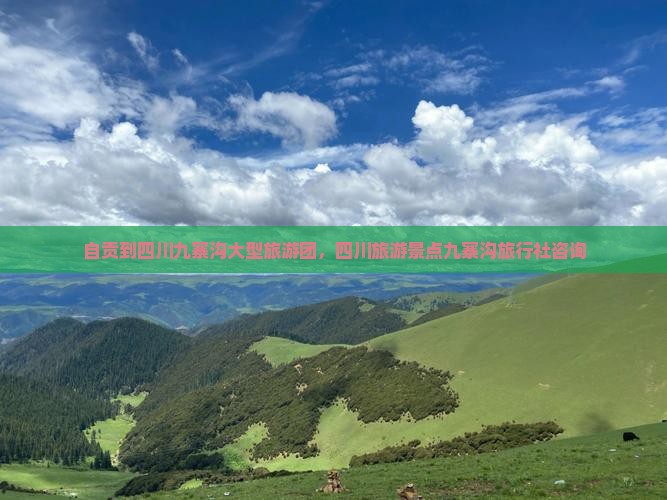 自贡到四川九寨沟大型旅游团