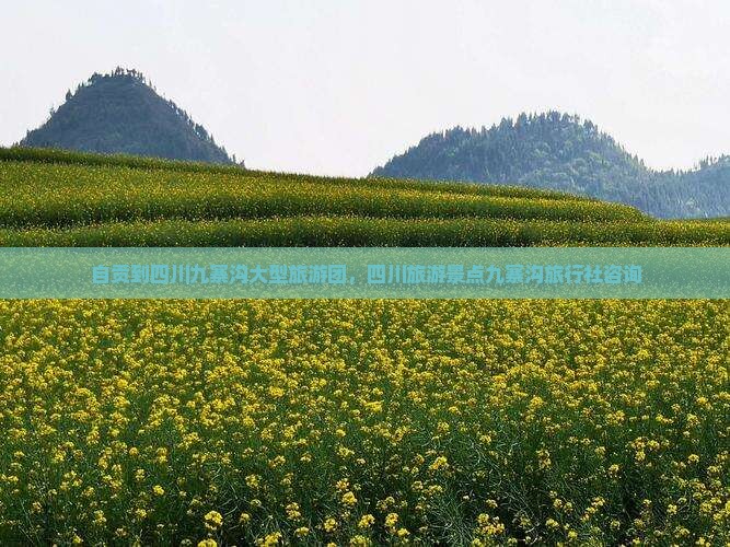 自贡到四川九寨沟大型旅游团