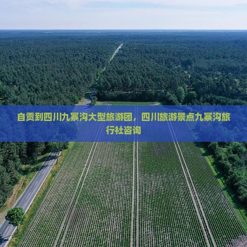 自贡到四川九寨沟大型旅游团