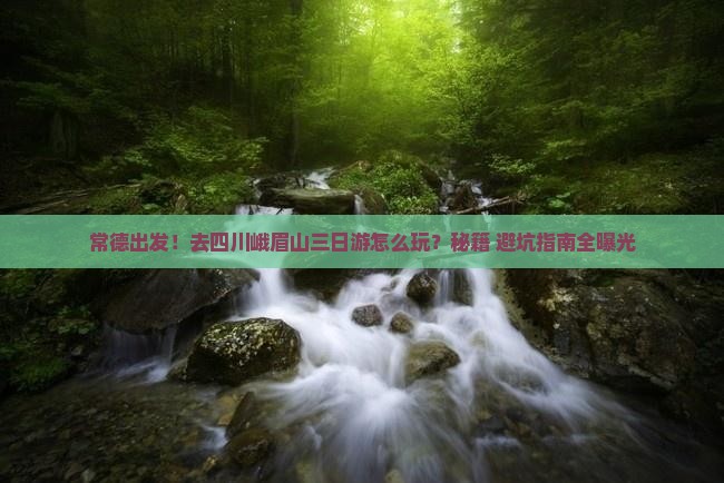 常德去四川峨眉山三日游