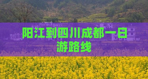 阳江到四川成都一日