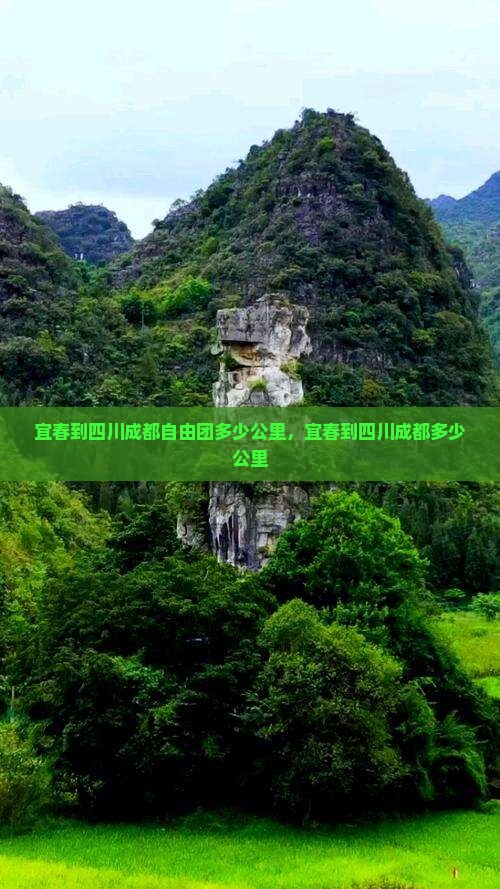 宜春到四川成都自由团