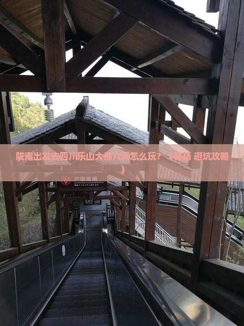 陇南去四川乐山大佛六日游