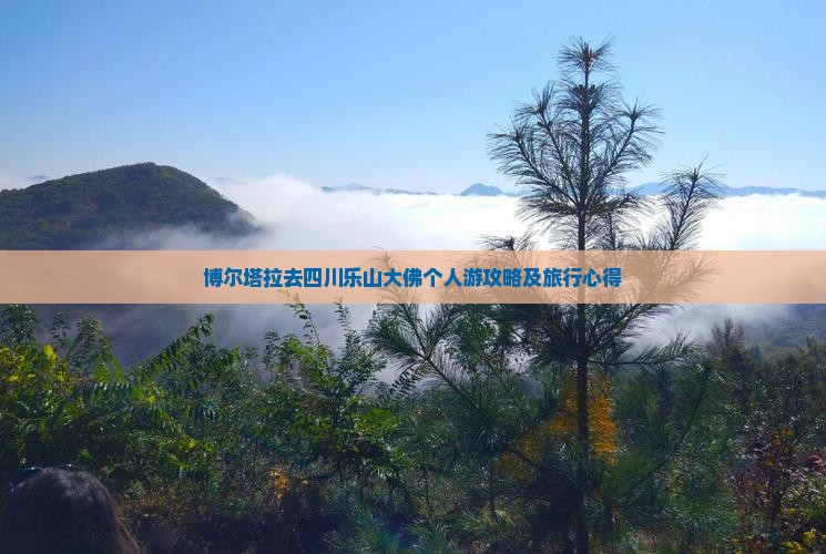 博尔塔拉去四川乐山大佛个人游