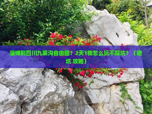 淄博到四川九寨沟自由团