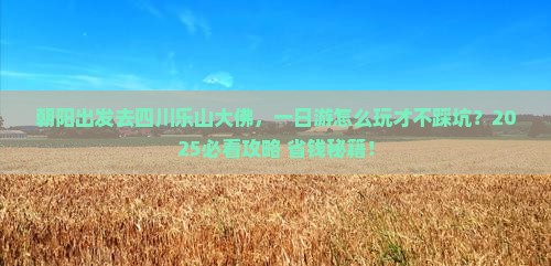 朝阳去四川乐山大佛一日
