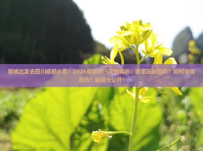 塔城去四川成都哪里玩