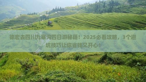 德宏去四川九寨沟四日游