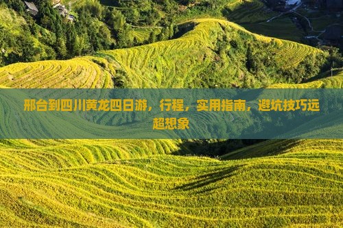 邢台到四川黄龙四日游
