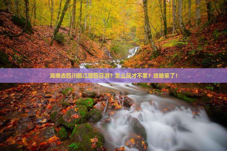 海南去四川都江堰四日游