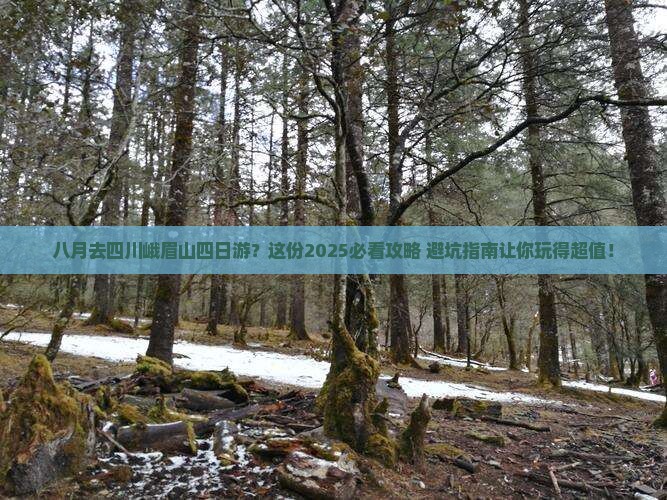 八月去四川峨眉山四日游